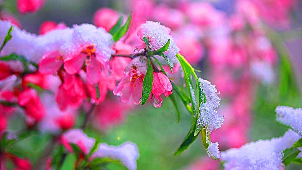 Фото взято из интернета.