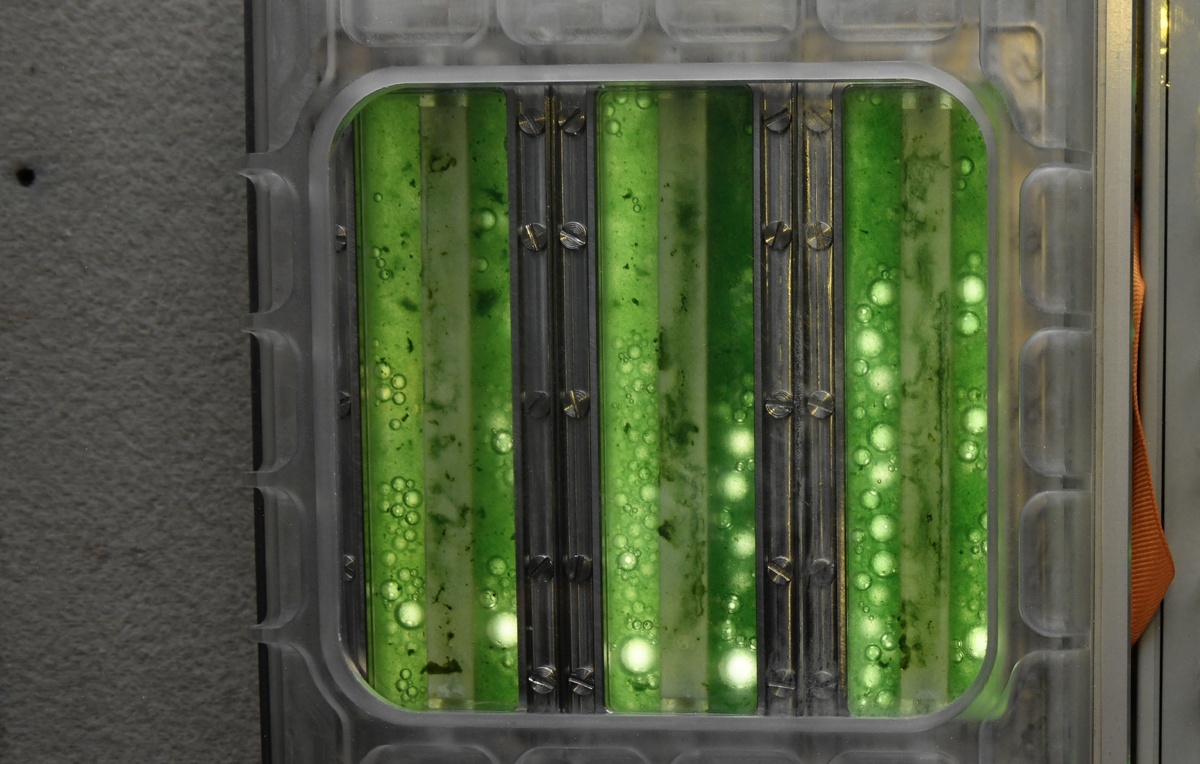 Иван Вагнер/ Роскосмос/ ТАСС