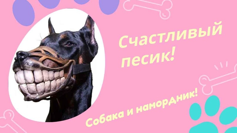 Создать карусельДобавьте описание