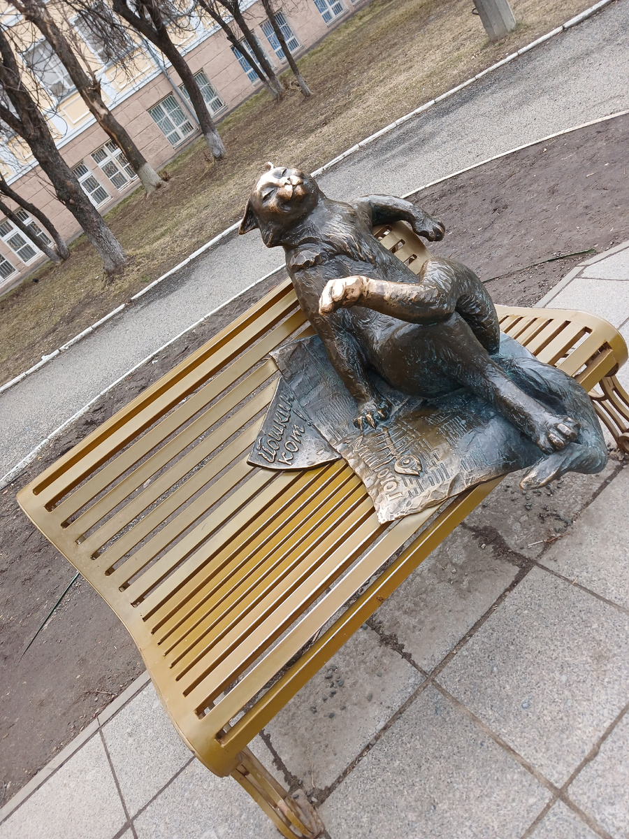 Кот из Йошки