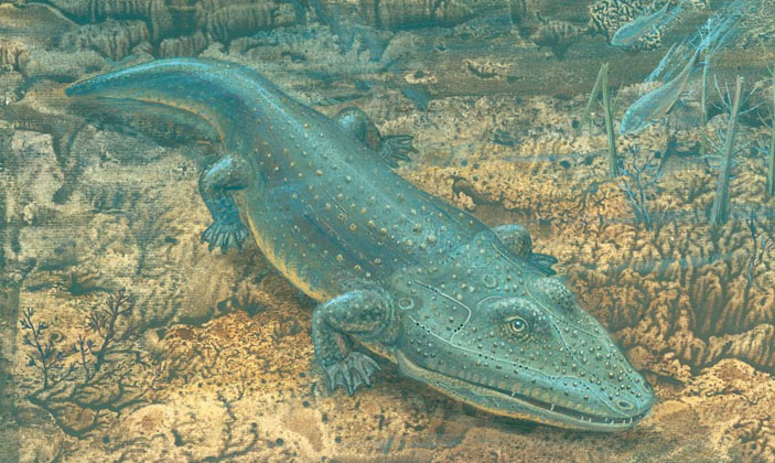 Кажется я уже использовал эту картинку.