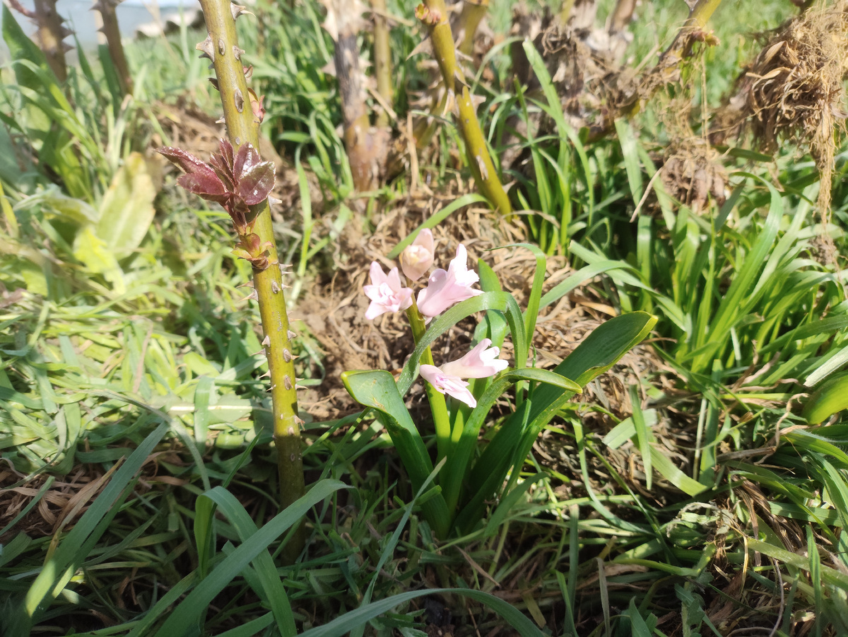 Неожиданная находка