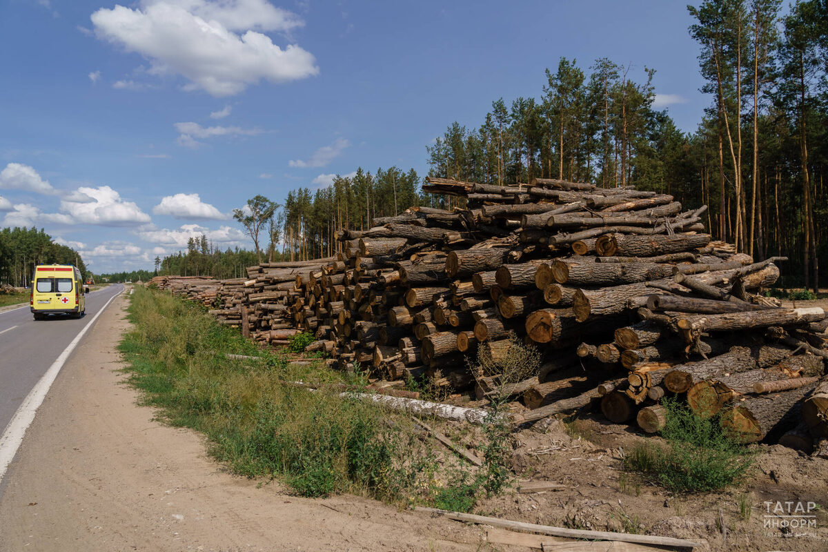 Фото: © Салават Камалетдинов / «Татар-информ»