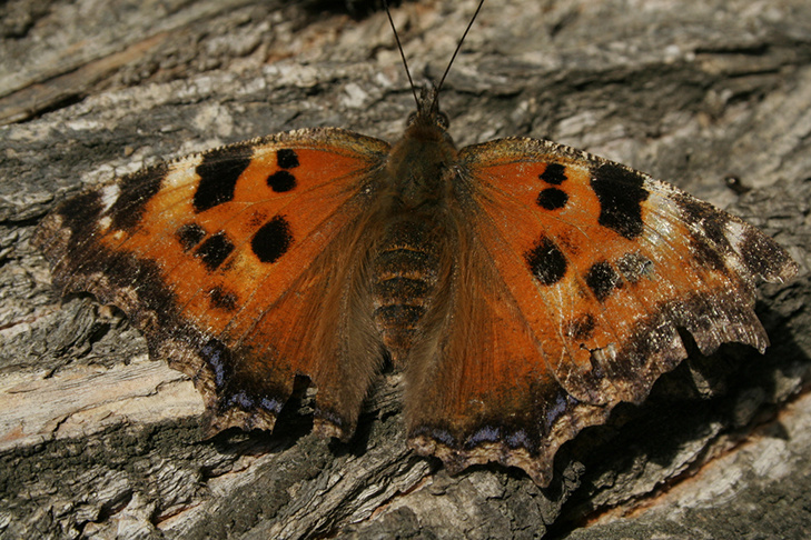    Фото читателей VN.ru