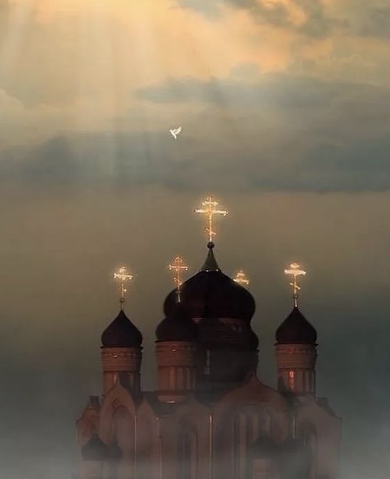 Источник фото Яндекс картинки 