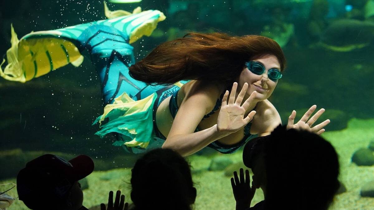    В подводых шоу океанариума «Москвариум» на ВДНХ во время празднования Дня мореплавателя также выступают артистки в образе русалки / Фото: Елена Никитченко / ТАСС