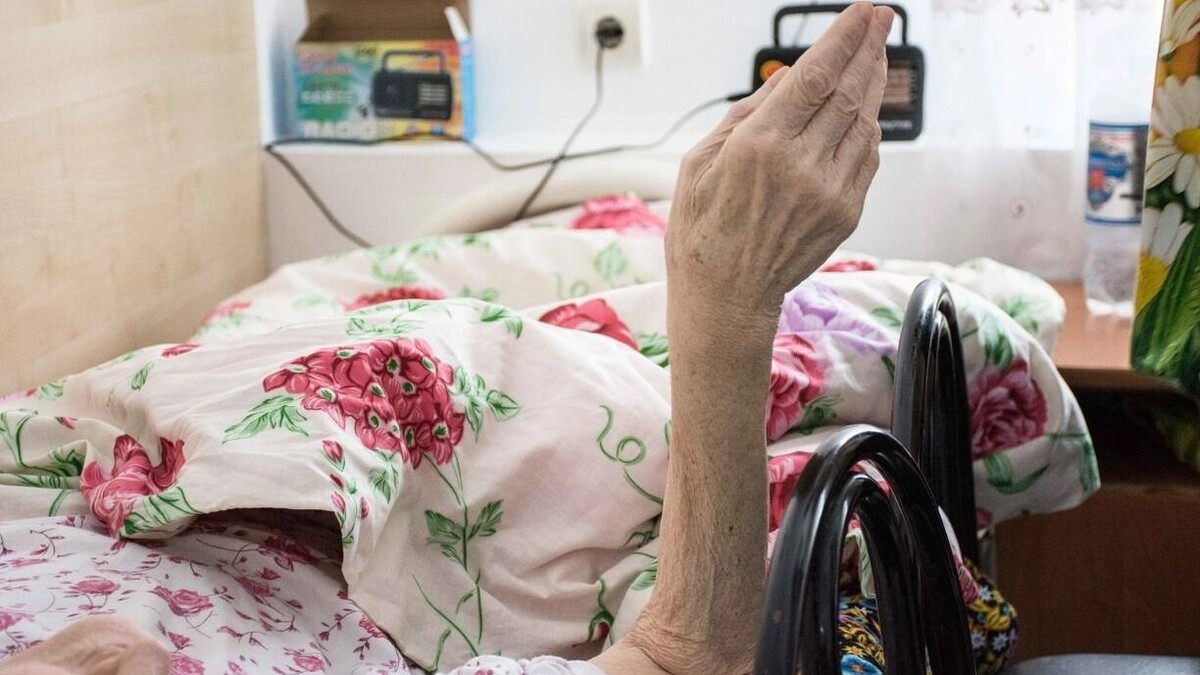     Источник: 1MI