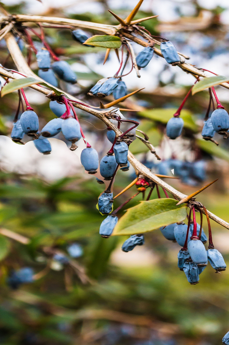 Эти советы помогут вам избежать распространенных проблем