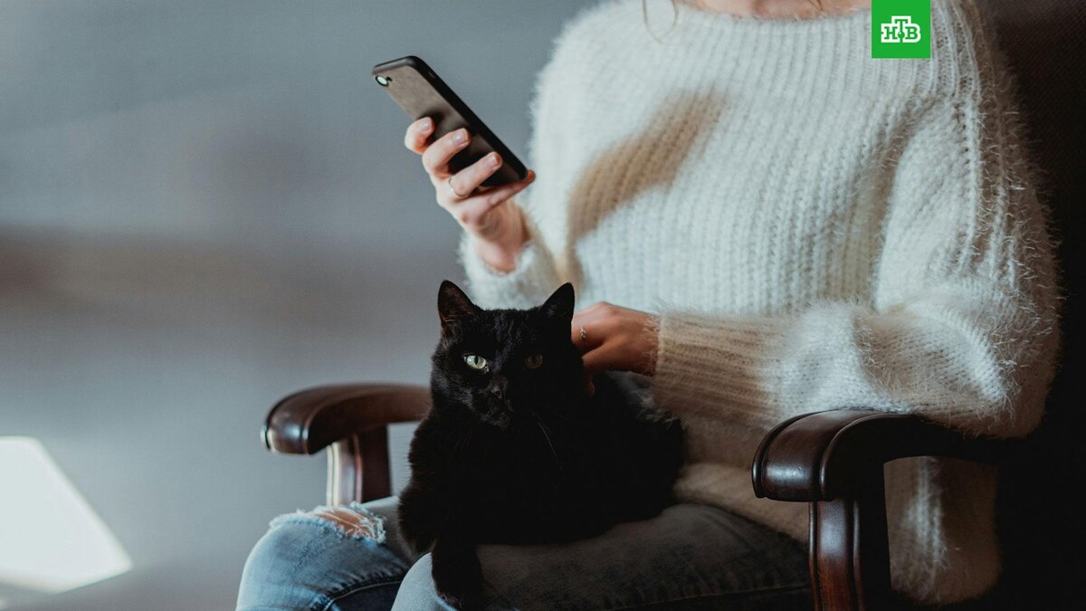    Фото: Walter Randlehoff / unsplash.com