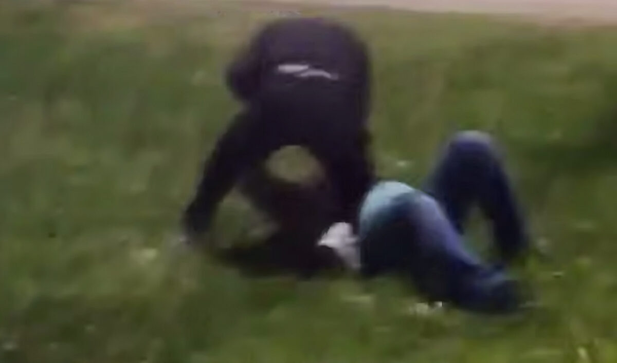    Фото t.me/chp_krd