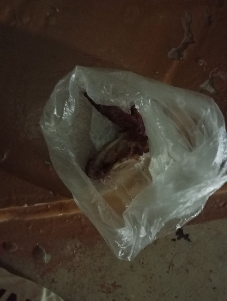 Моя находка в почтовом ящике. 