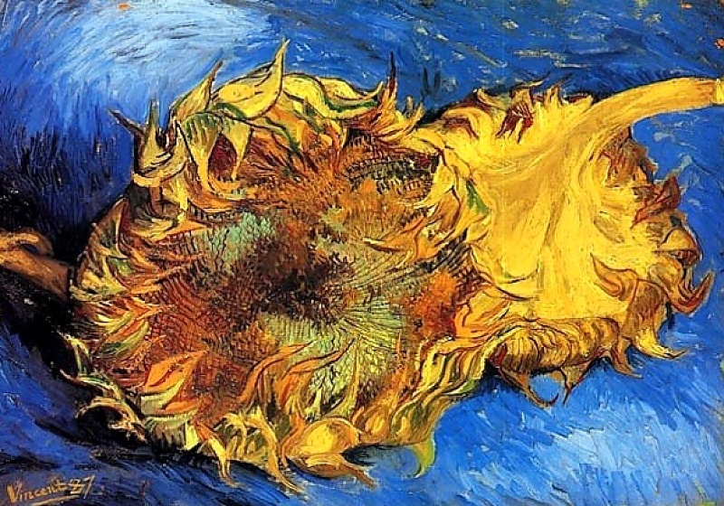 «Два срезанных подсолнуха» 1887г.