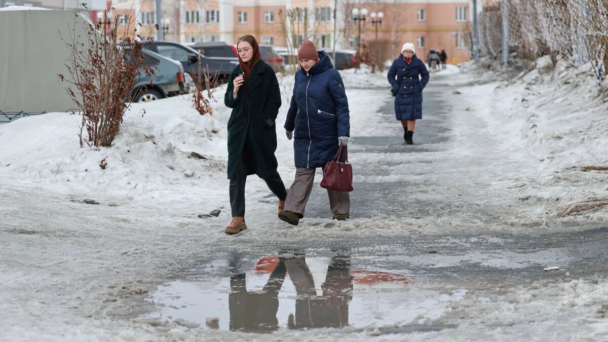   Фото: Андрей Ткачев/«Ямал-Медиа»