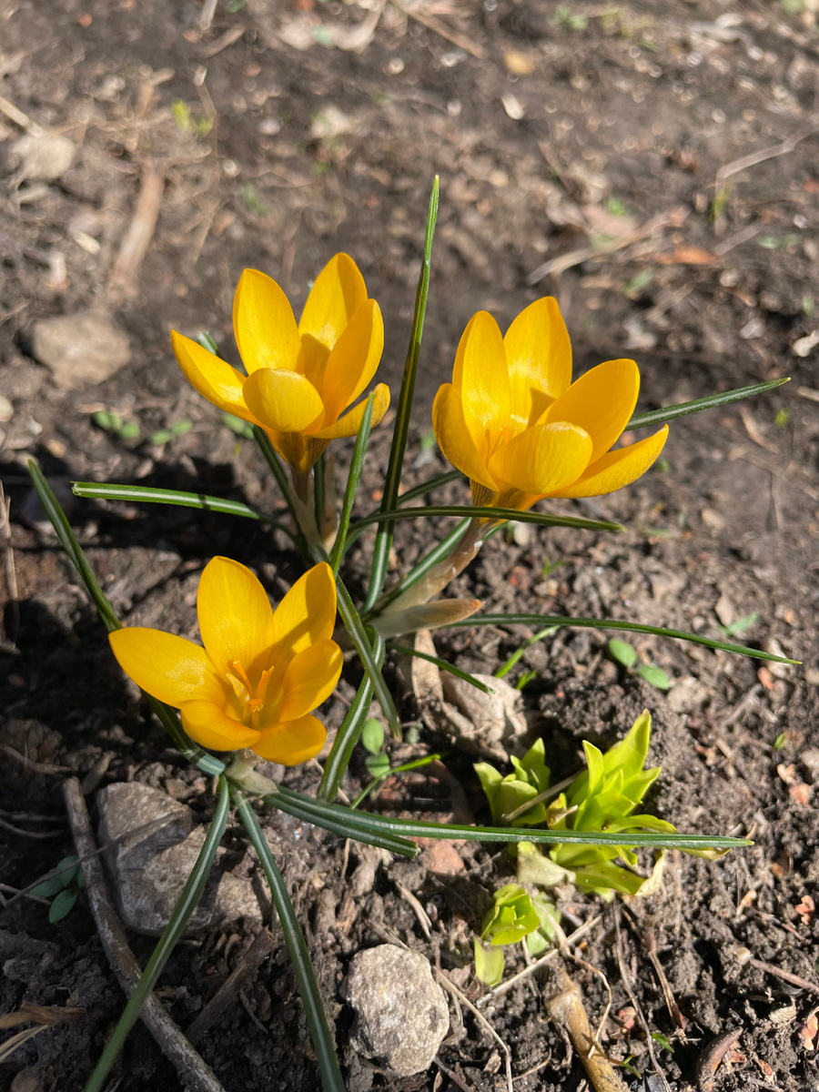 Фото из архива автора