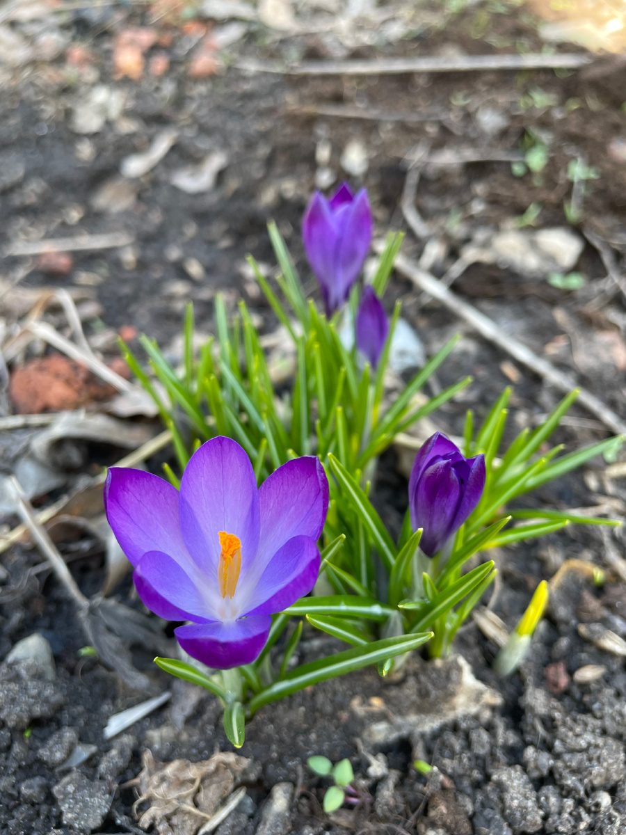 Фото из архива автора