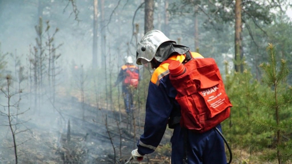    Чешуина Ирина, media4media