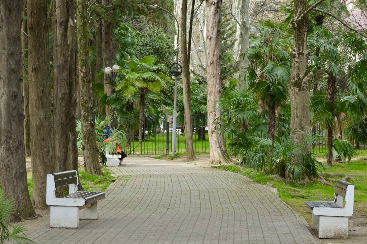    Фото: Telegram/Мэр Сочи Андрей Прошунин