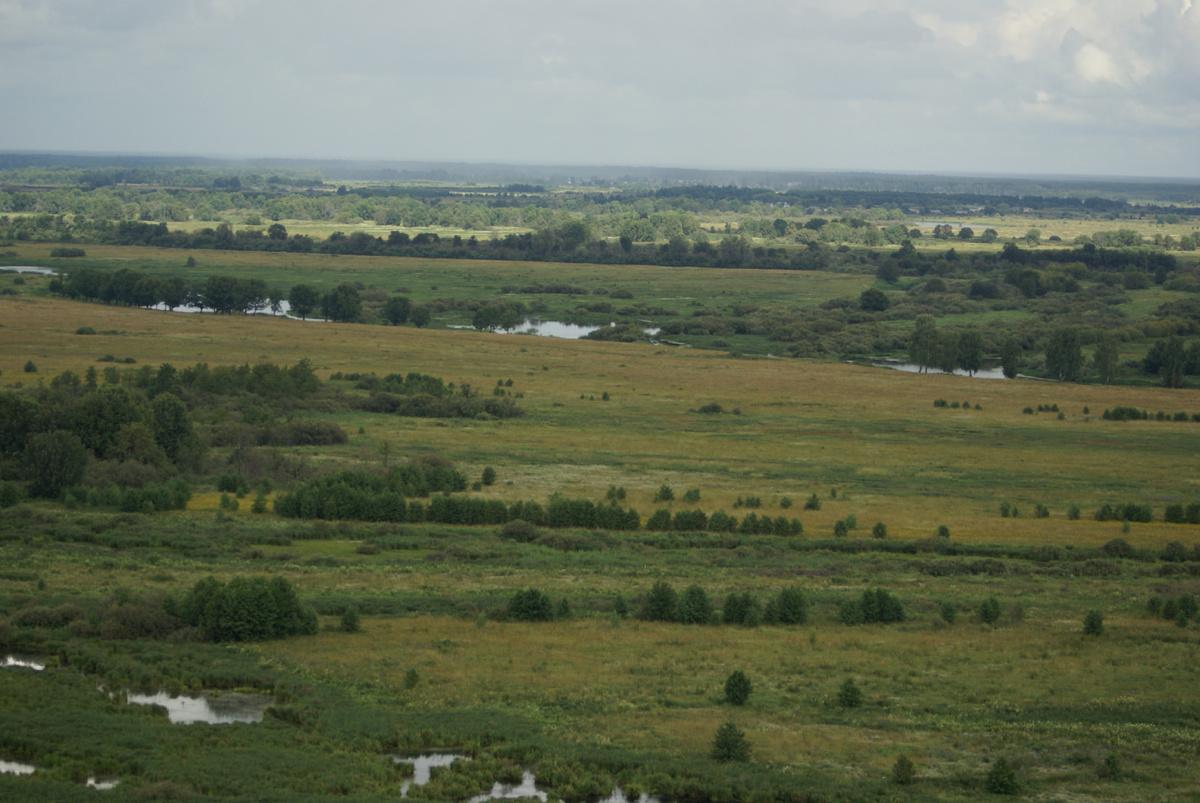 Снято на мою первую зеркалку Sony A100