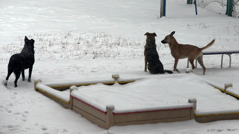 Фото: Юрий Стрелец / Коммерсантъ