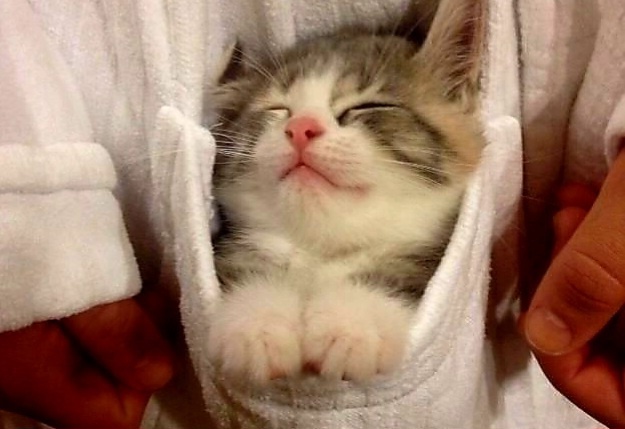 Мммм, а тут тепло, оказывается! --->>>