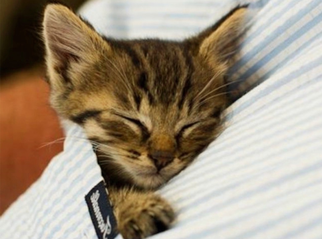 И очень уютно! 