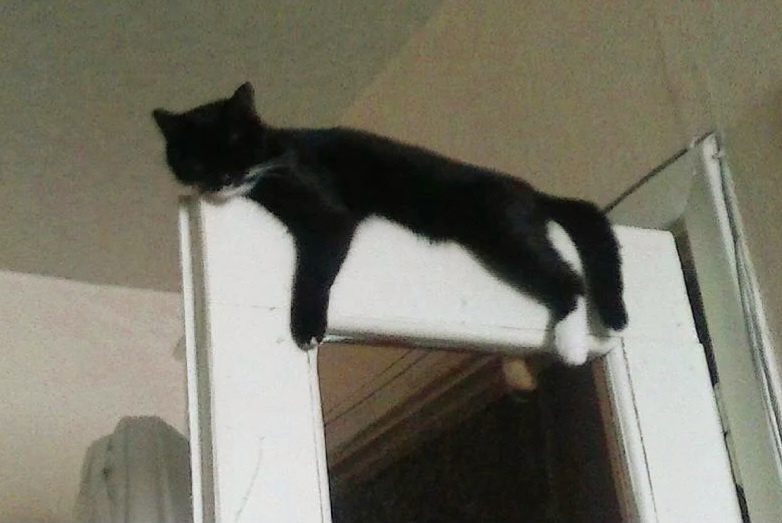 А тебе удобно на меня смотреть? 