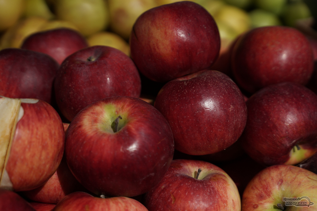    Фото: Лидия Аникина © ИА «Уральский меридиан»