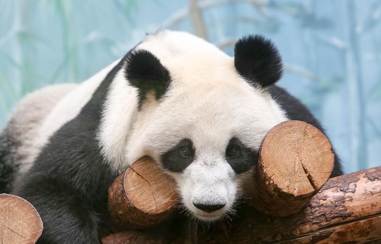    Наталья Шатохина/NEWS.ru