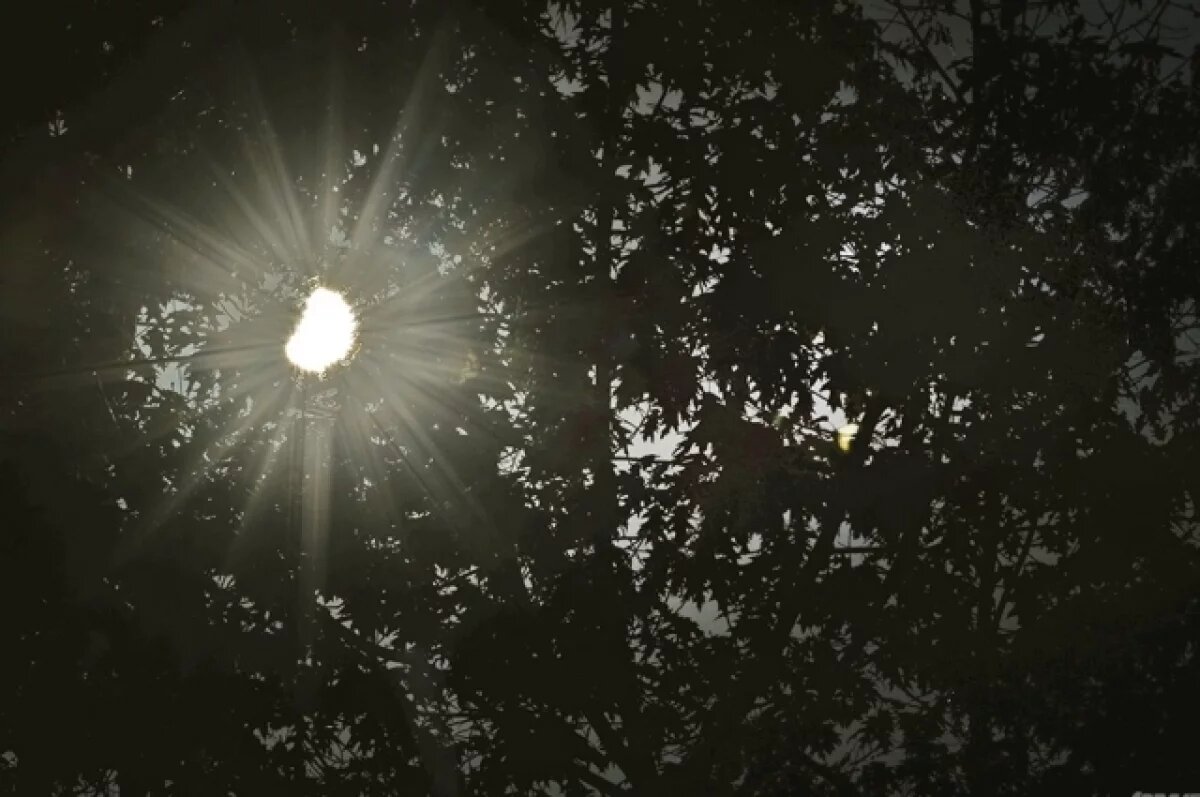    Луна закроет Солнце.