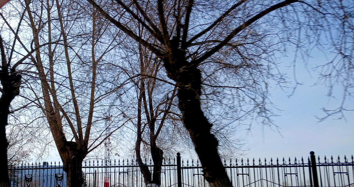 " Доброе утро, мир! Ты прекрасен!" Фото автора 