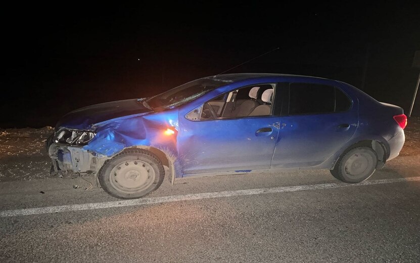    Женщину-пешехода насмерть сбили в темное время суток в Сарапульском районе