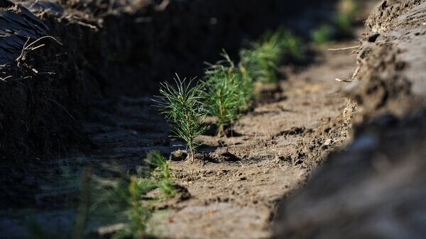    © Sputnik / Александр Кряжев