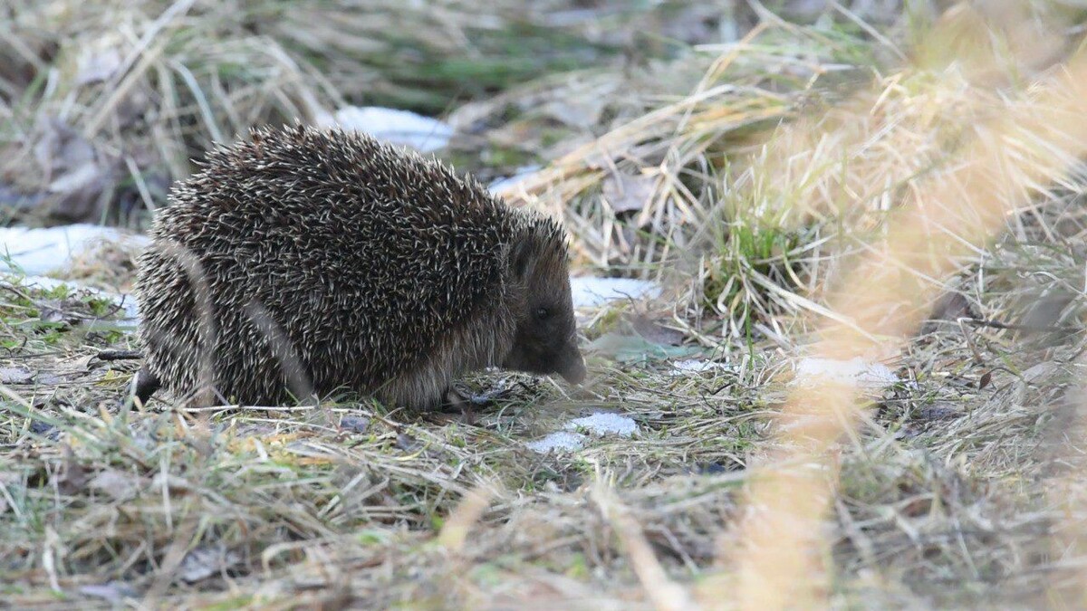     Автор: https://t.me/kazdoytvaripopare