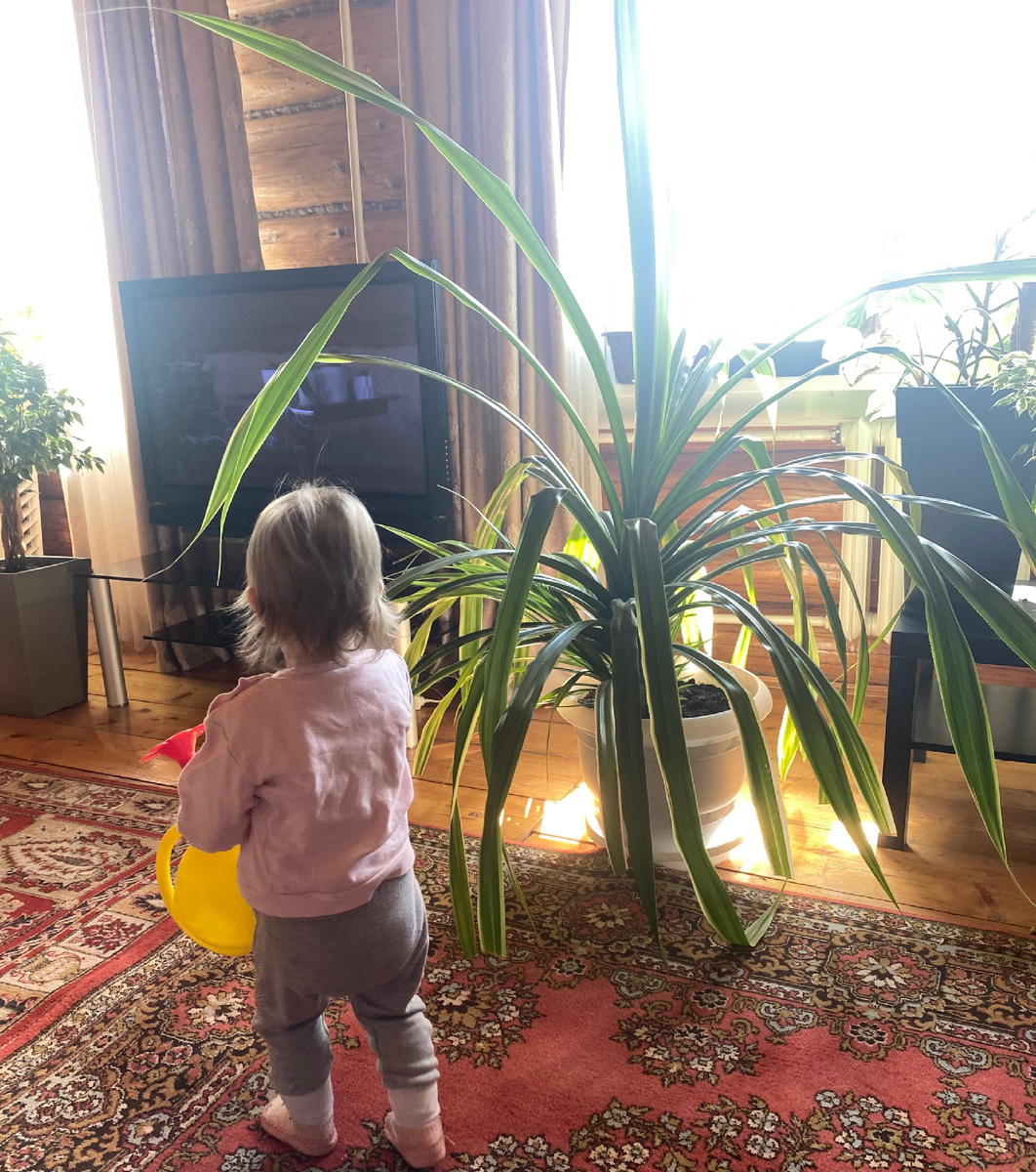 На фоне Сани все растения всегда выглядят гигантами.