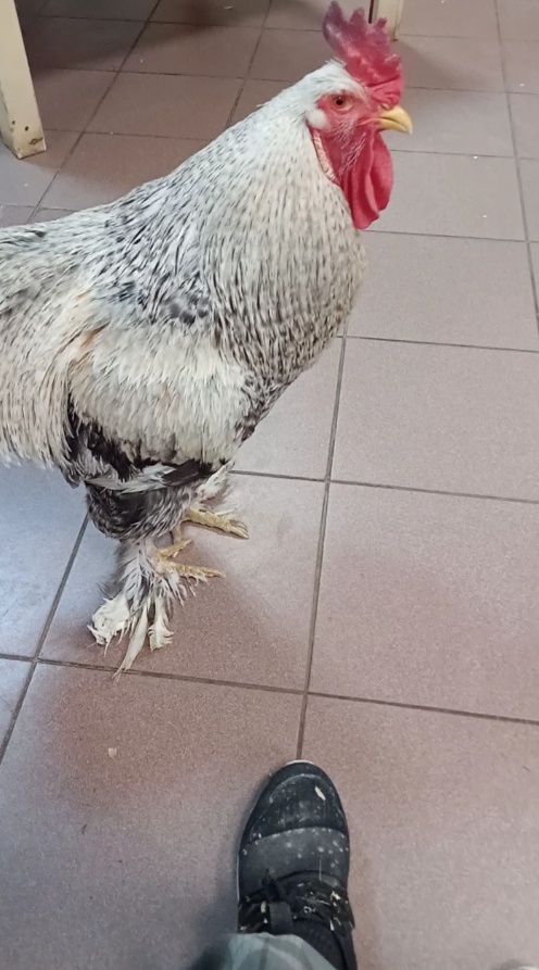 Кроссовки были новые четыре дня назад. Да и ладно! Главное – я сижу!☝️🥰