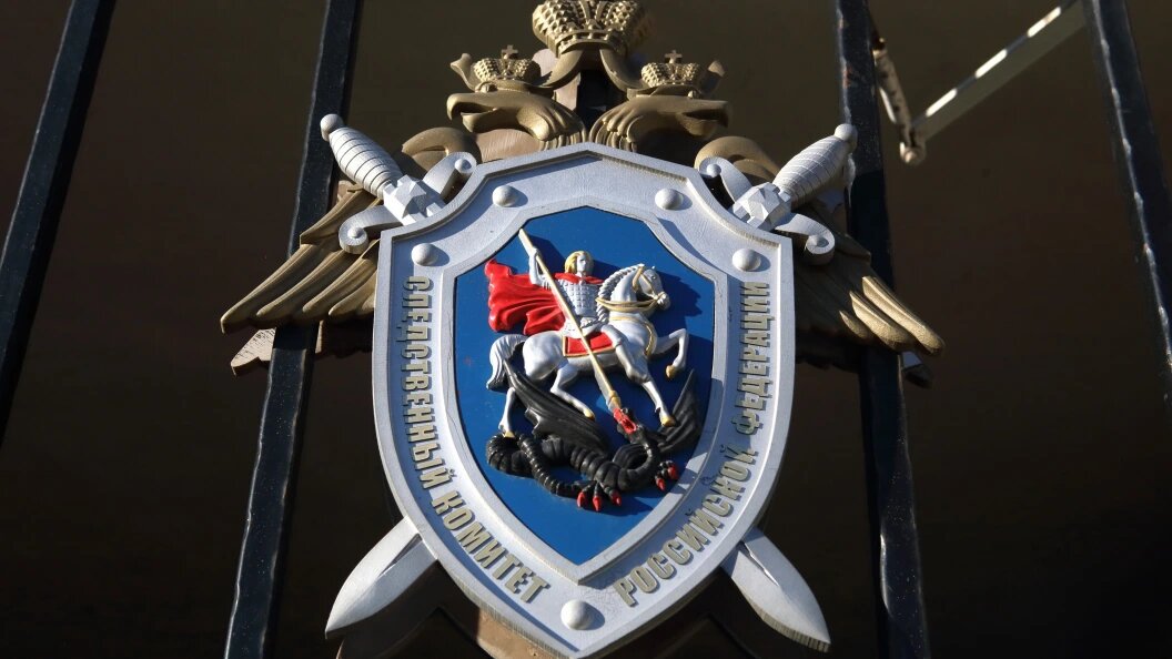    Замир Усманов/Global Look Press