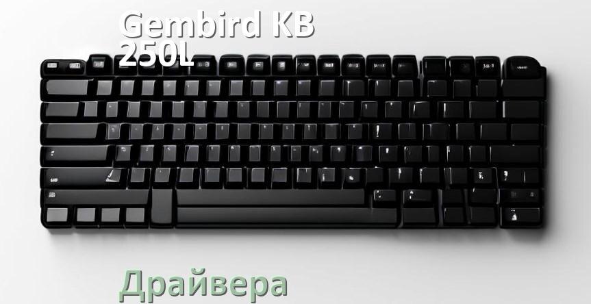 
Драйвера клавиатуры Gembird KB-250L на Windows 10, 11, 7 на 64, 32 бит