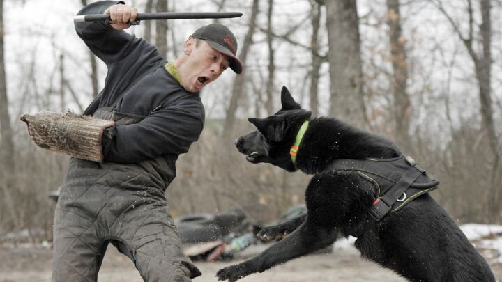 Фото: Андрей АРХИПОВ