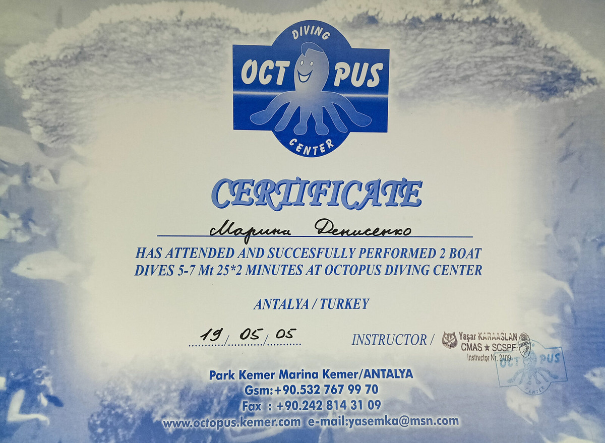 На погружения выдают сертификаты