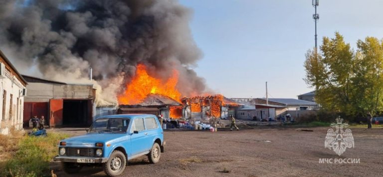    Фото из телеграма МЧС Ольга Чистова