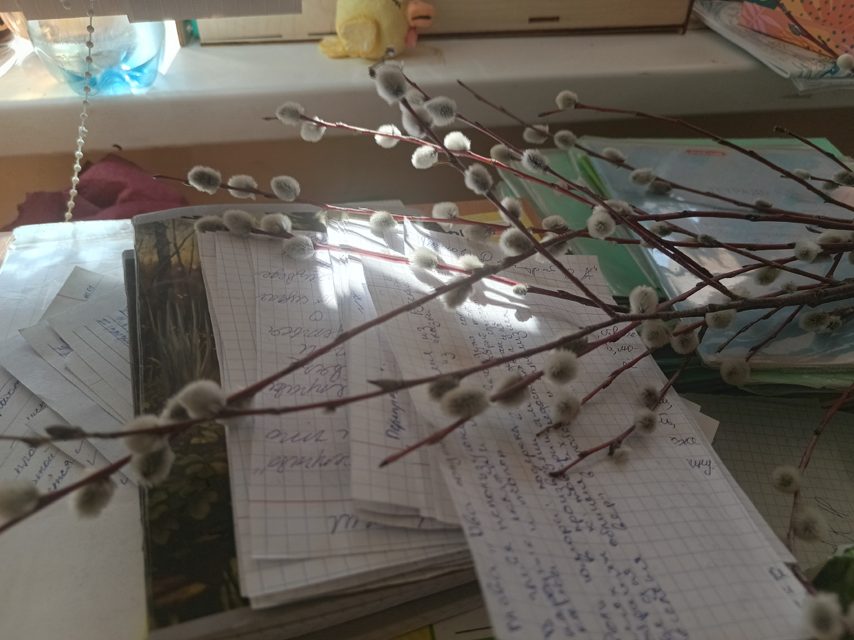 Девочка совершенно неожиданно принесла вербу. Видимо, привезли с дачи. Коллеги приходят, чтобы потрогать пушистики))