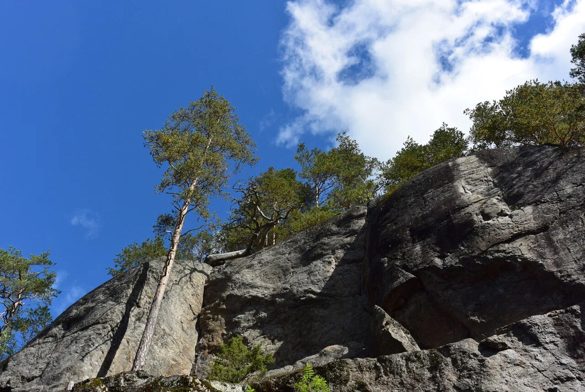 Один из самых больших скальных массивов Ленобласти. Фото: Алексей / Яндекс Карты