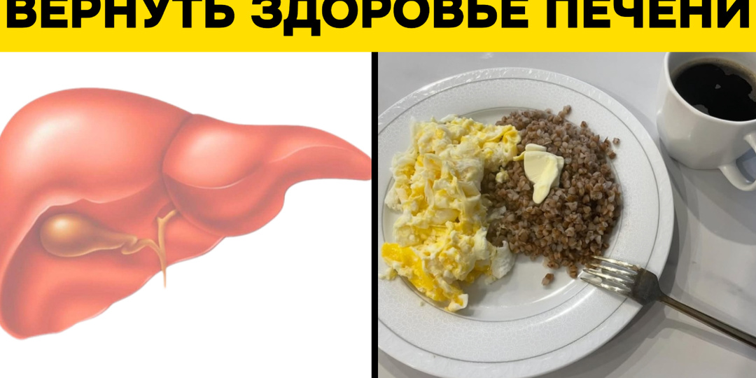 Как вернуть здоровье печени после 60: 5 шагов, которые работают даже при гепатозе