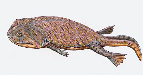 Реставрация плагиостерна от Дмитрия Богданова.