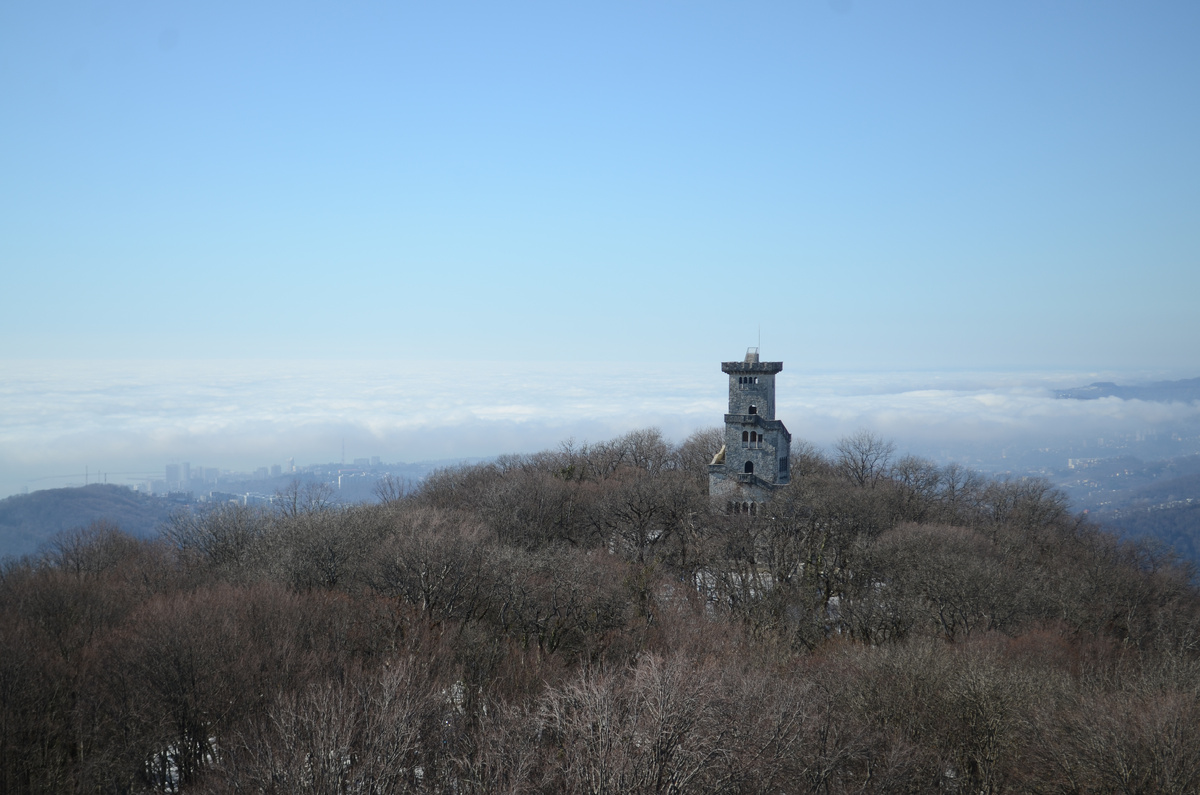 Фото автора. Вид с колеса обозрения на башню.