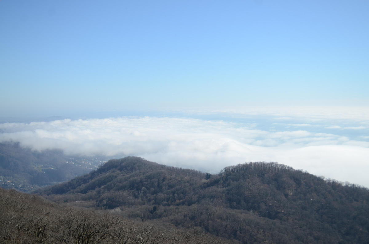 Фото автора. Вид с колеса обозрения.