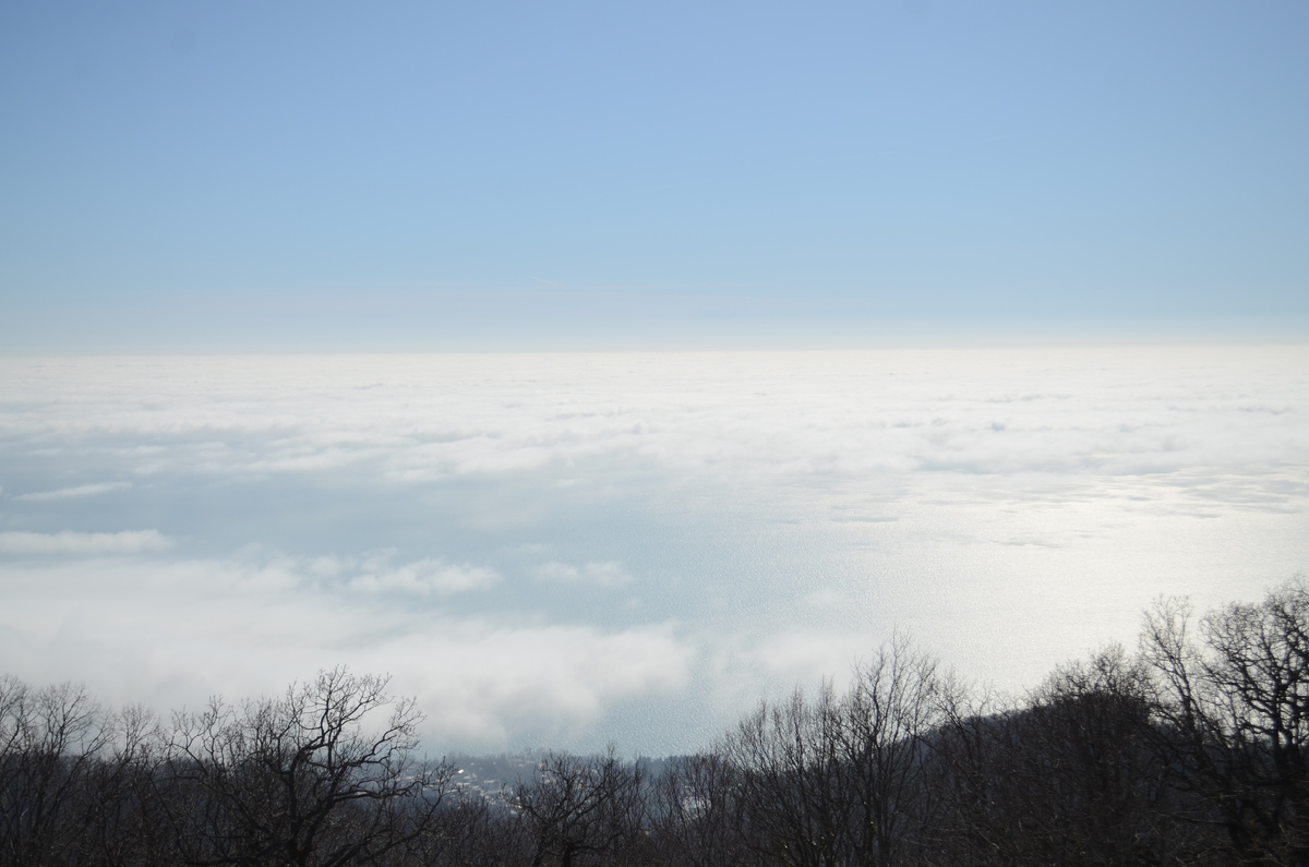 Фото автора. Вид с колеса обозрения.