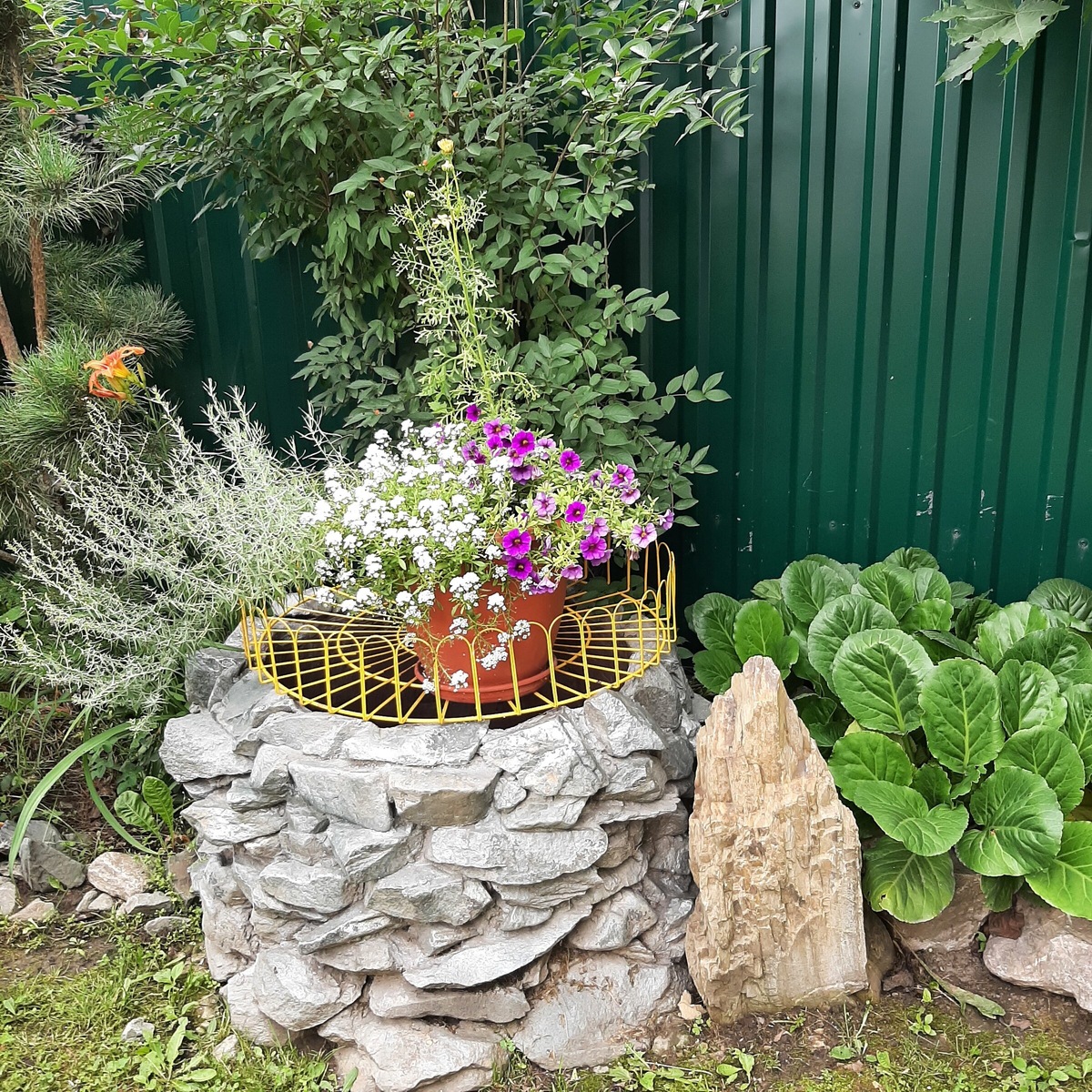 Фото из открытых источников.