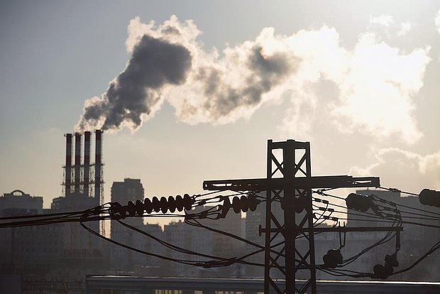    Фото: lenta.ru Георгий