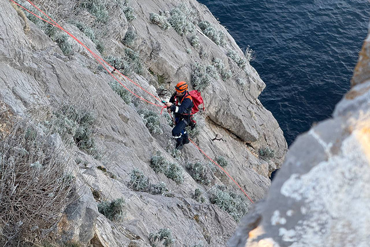    «Выступая в конгрессе по северным проектам, Трамп упоминал о возможности привлечь южнокорейские и японские деньги для освоения северных месторождений».   
Фото: Global Look Press / http://www.globallookpress.com